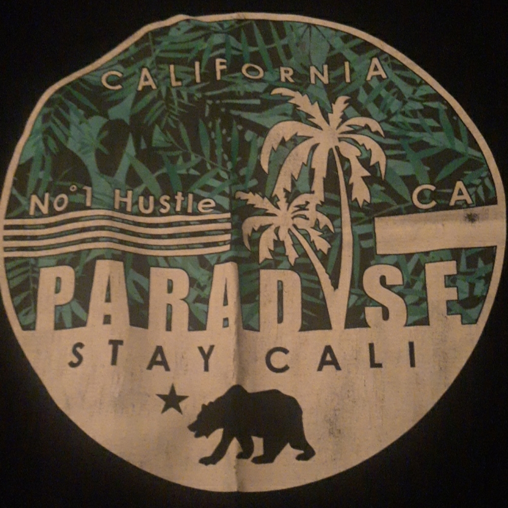 A California hustle xl mens shirt